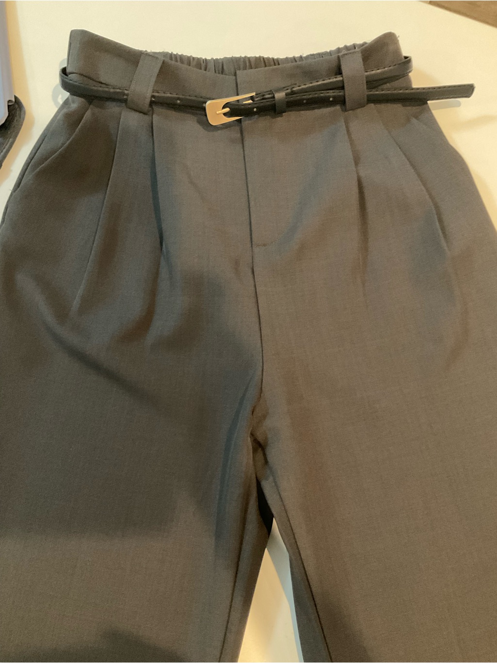 High-Waist Pleated Trousers / Pants With Slim Belt - Gray